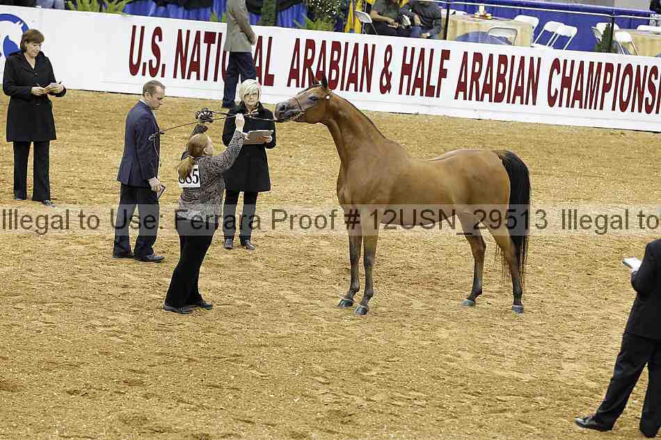 Proof 12usn_29513