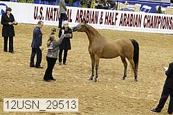 12usn_29513 proof