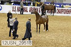 12usn_29518 proof