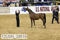 12usn_29519 proof