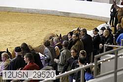 12usn_29520 proof