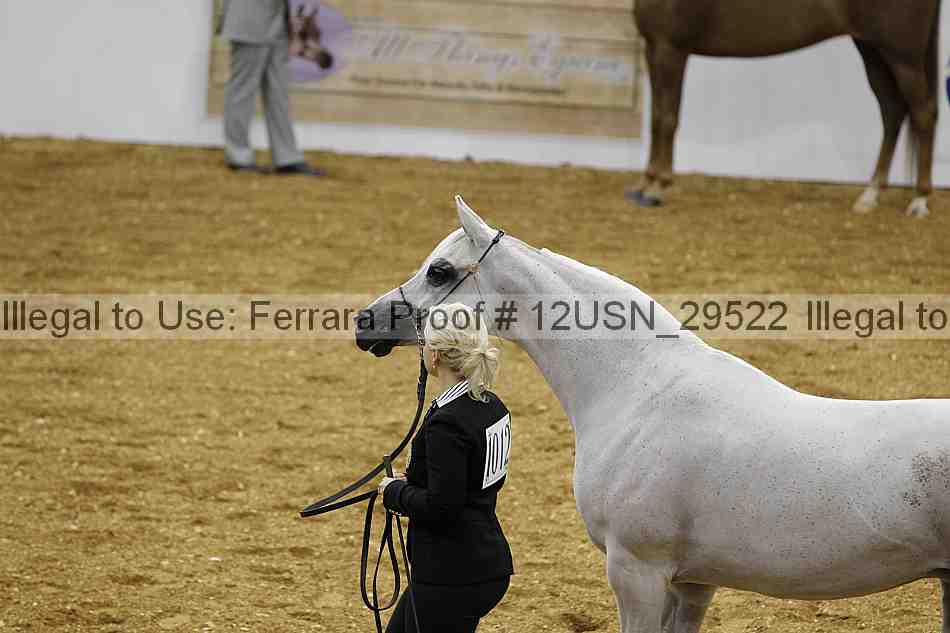 Proof 12usn_29522