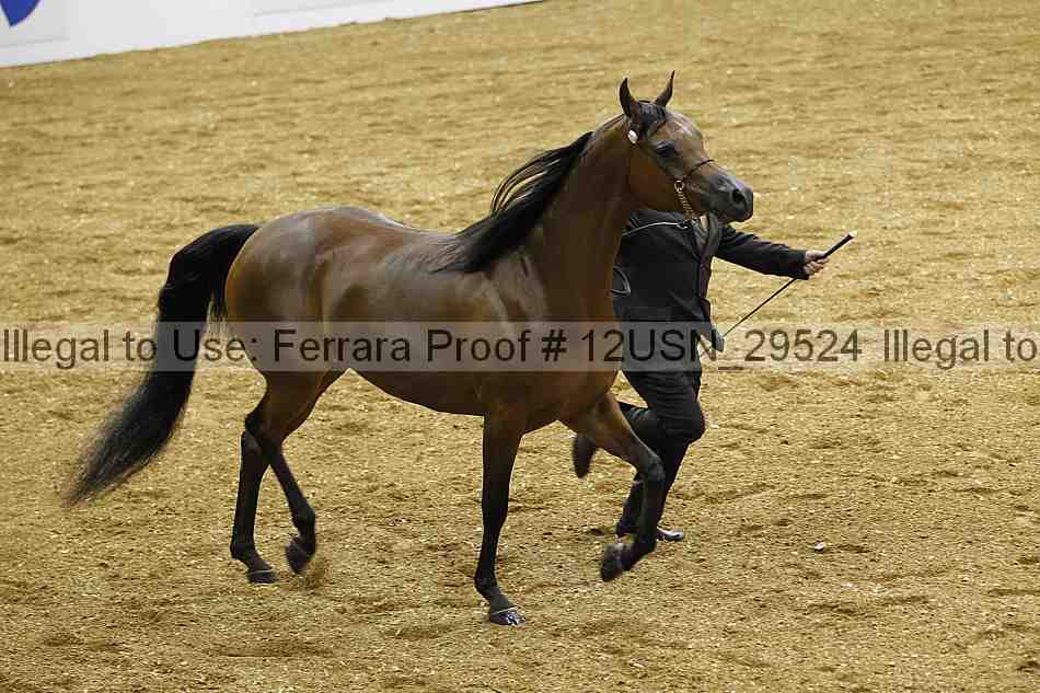 Proof 12usn_29524