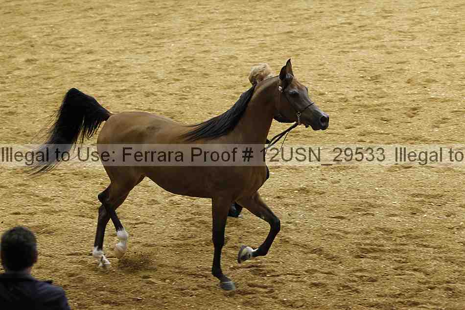 Proof 12usn_29533