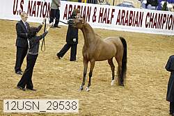 12usn_29538 proof