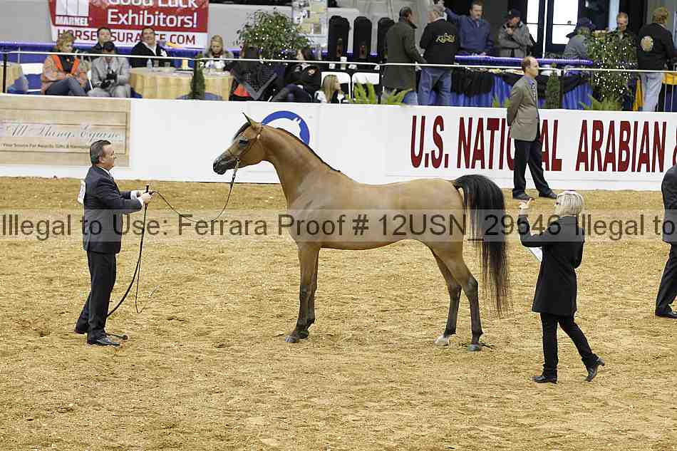 Proof 12usn_29546