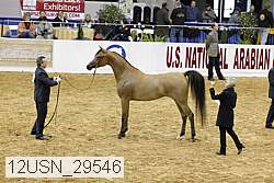12usn_29546 proof