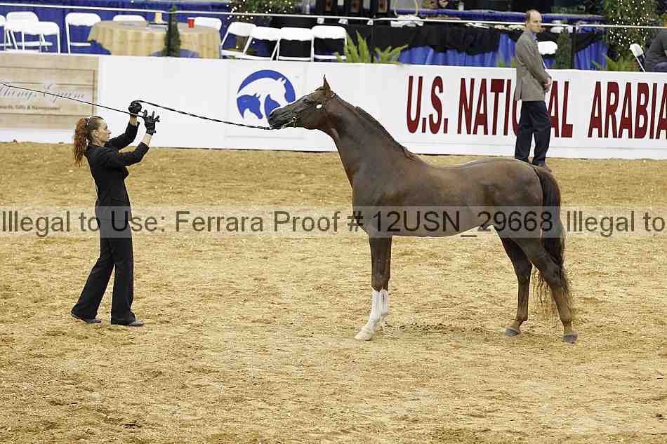 Proof 12usn_29668