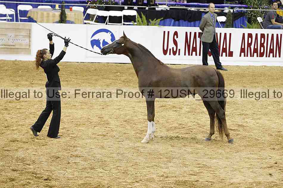 Proof 12usn_29669