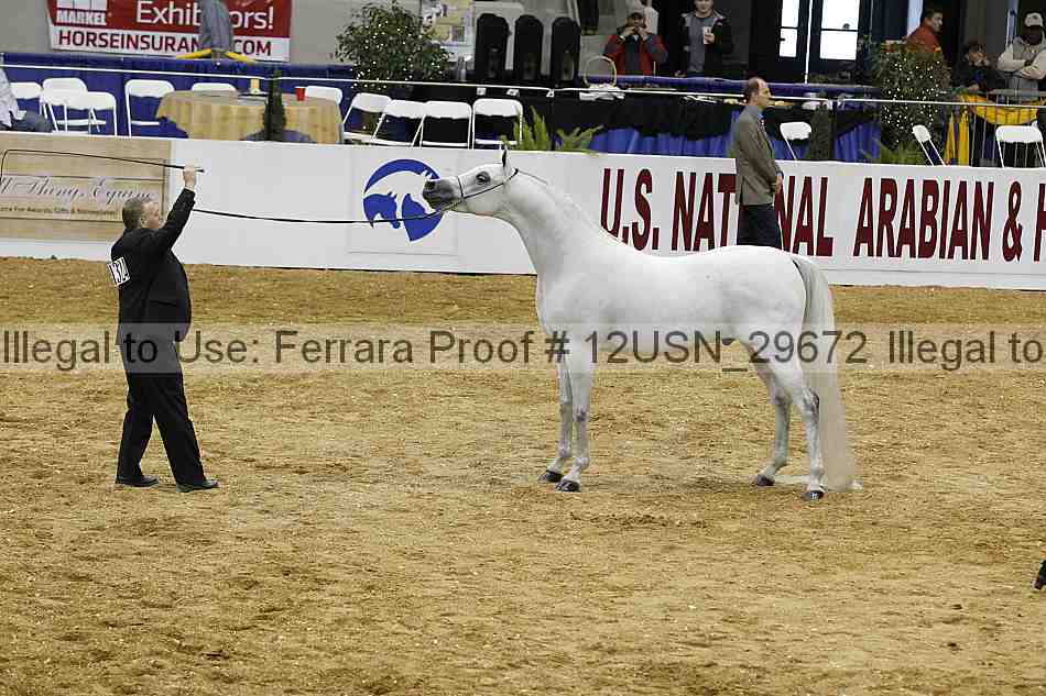 Proof 12usn_29672