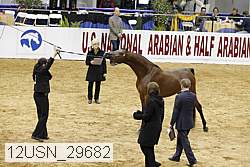12usn_29682 proof