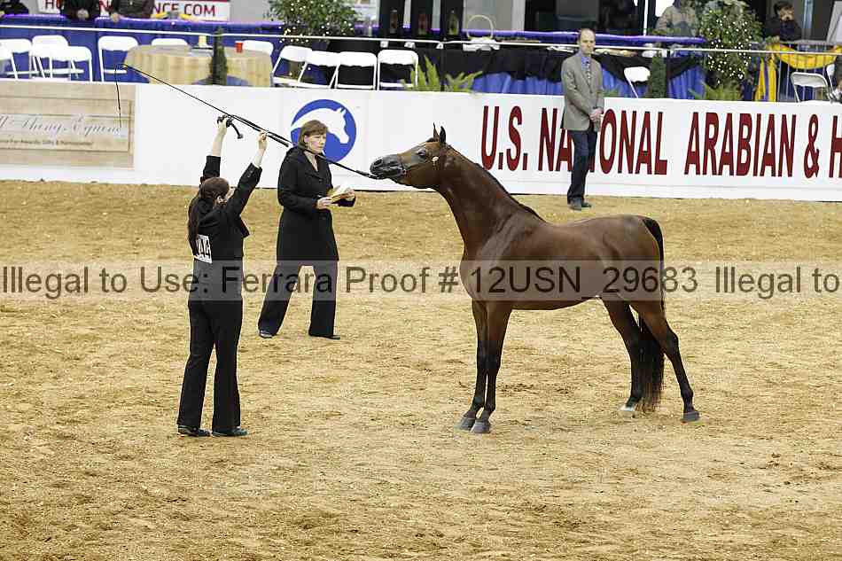 Proof 12usn_29683