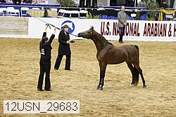 12usn_29683 proof