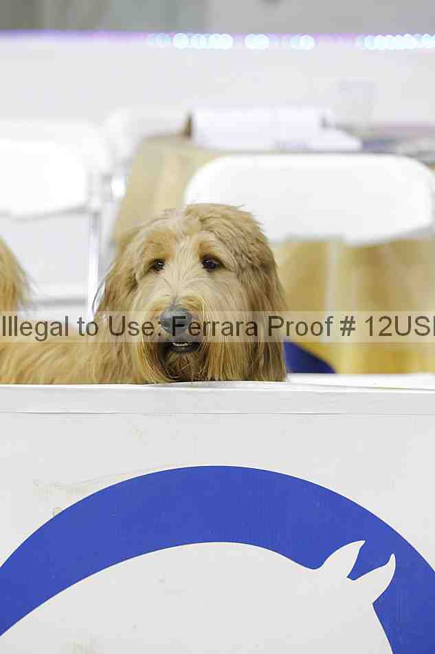 Proof 12usn_29684