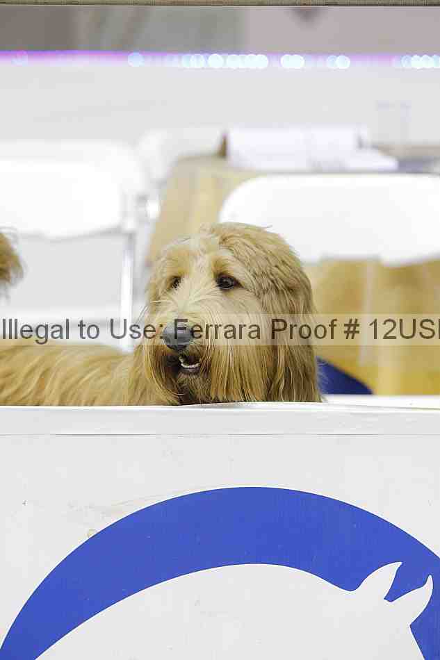 Proof 12usn_29685