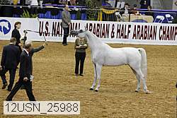 12usn_25988 proof