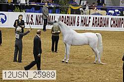 12usn_25989 proof