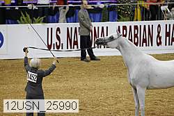 12usn_25990 proof