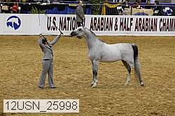12usn_25998 proof