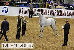 12usn_26005 proof