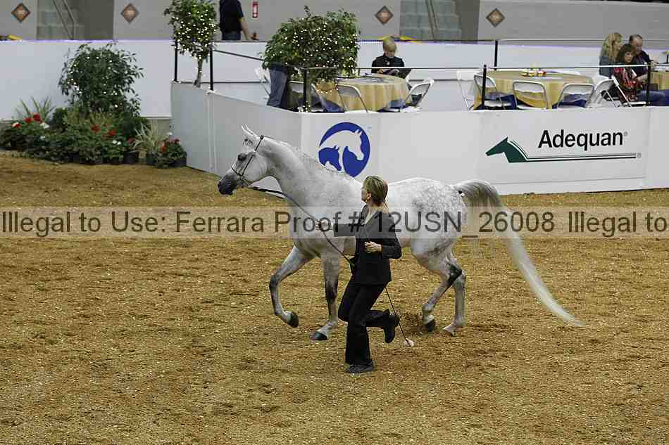 Proof 12usn_26008
