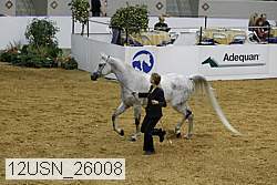 12usn_26008 proof