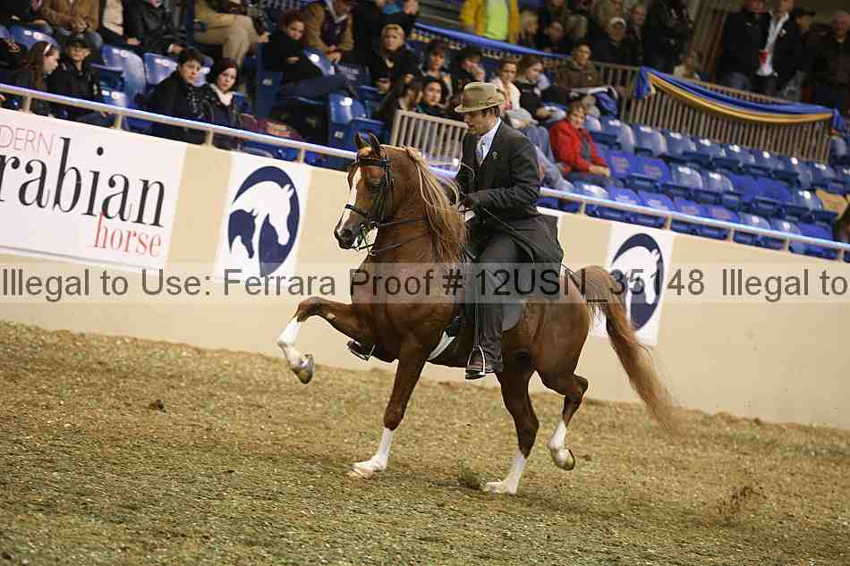 Proof 12usn_35148