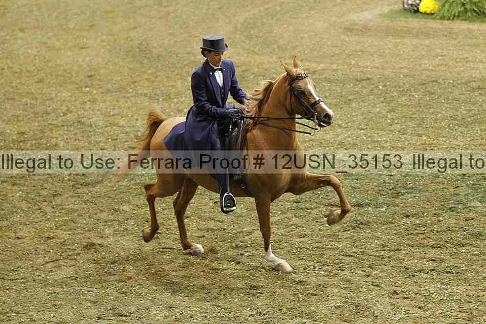 Proof 12usn_35153