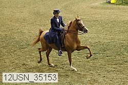 12usn_35153 proof