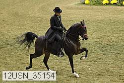 12usn_35154 proof