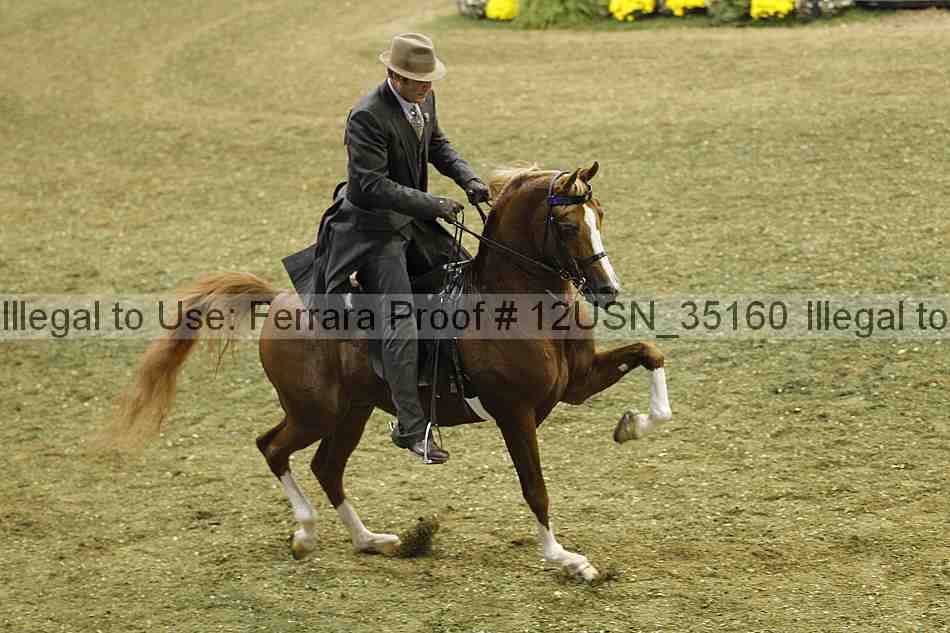 Proof 12usn_35160