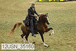 12usn_35160 proof