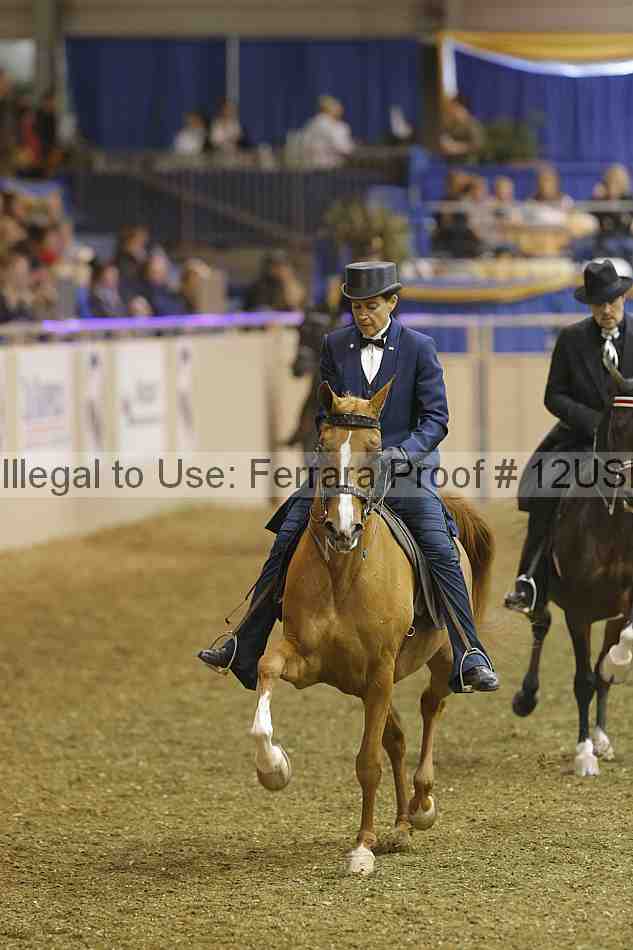 Proof 12usn_35162