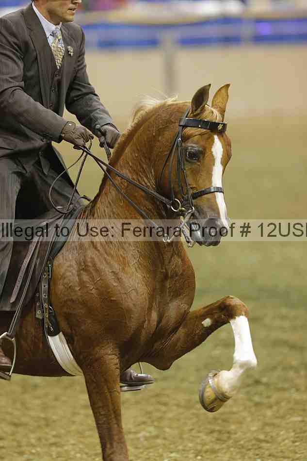 Proof 12usn_35173
