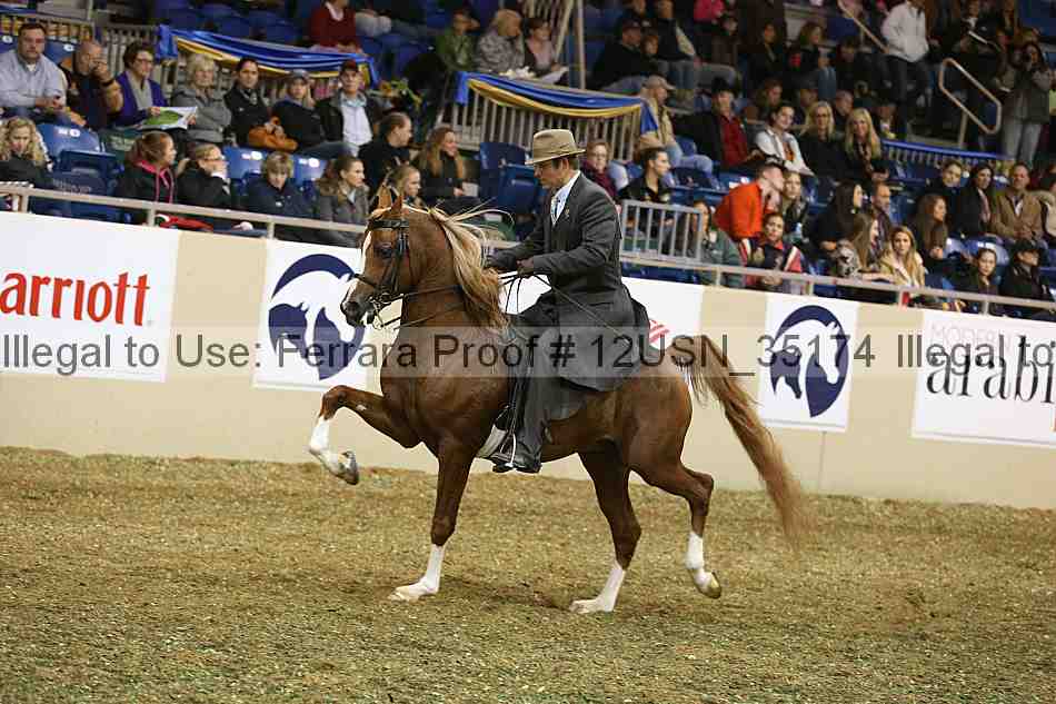 Proof 12usn_35174