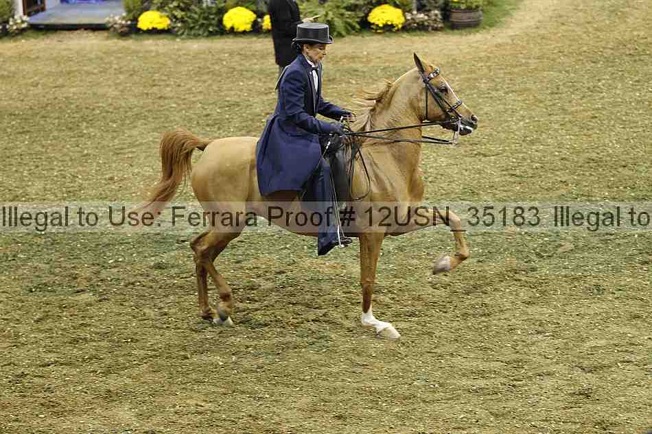Proof 12usn_35183