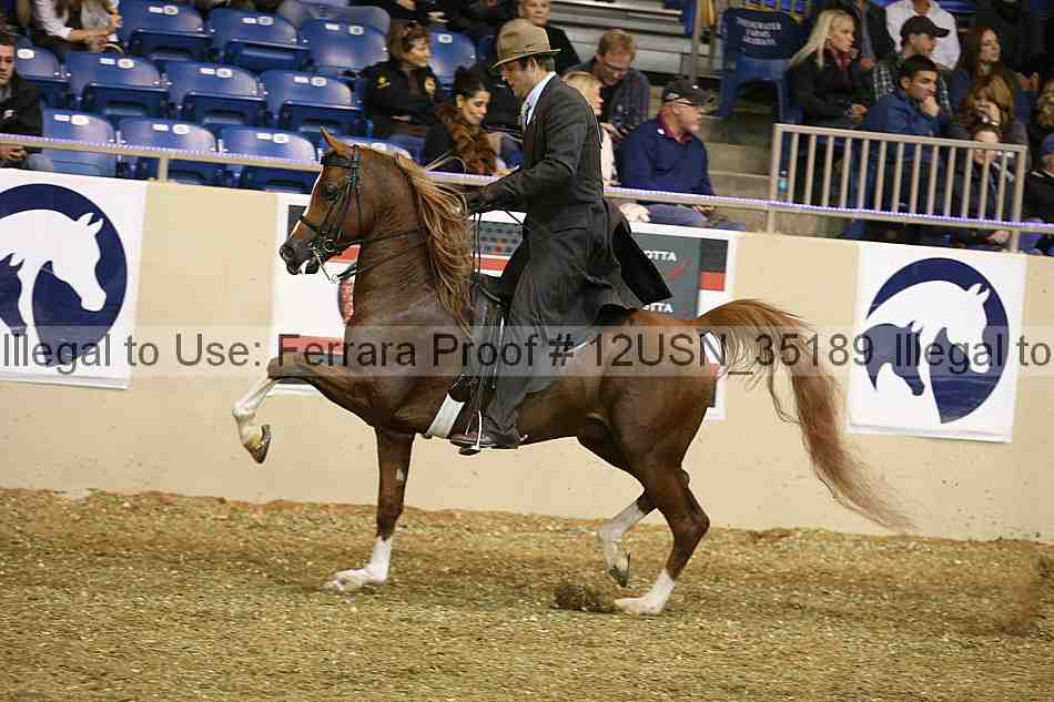Proof 12usn_35189