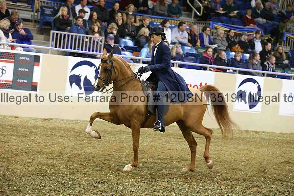 Proof 12usn_35191