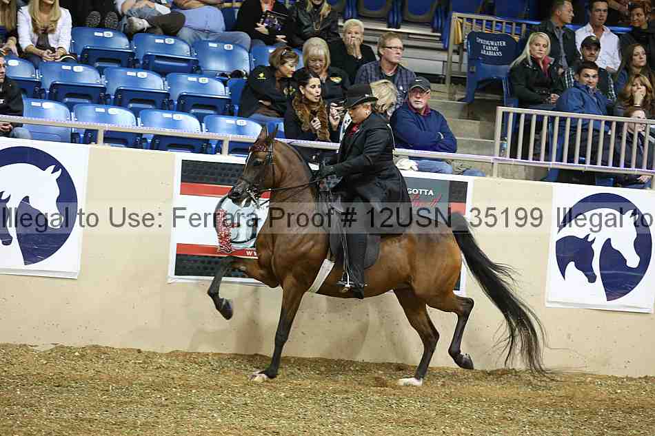 Proof 12usn_35199