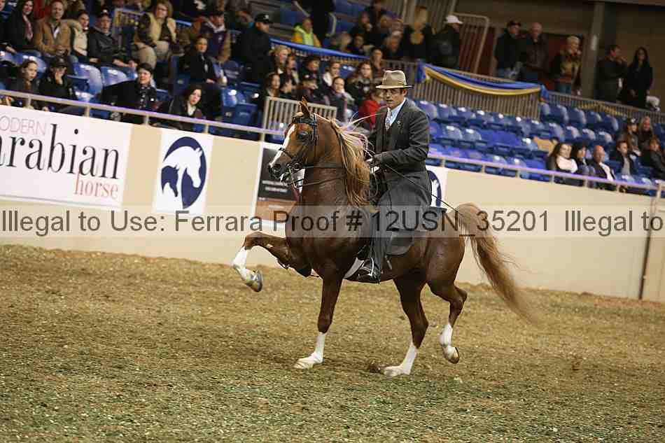 Proof 12usn_35201