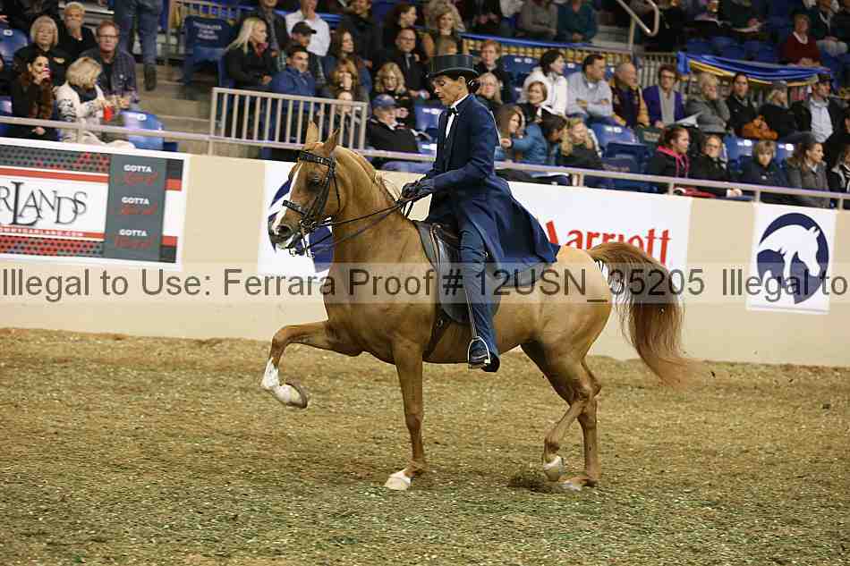 Proof 12usn_35205