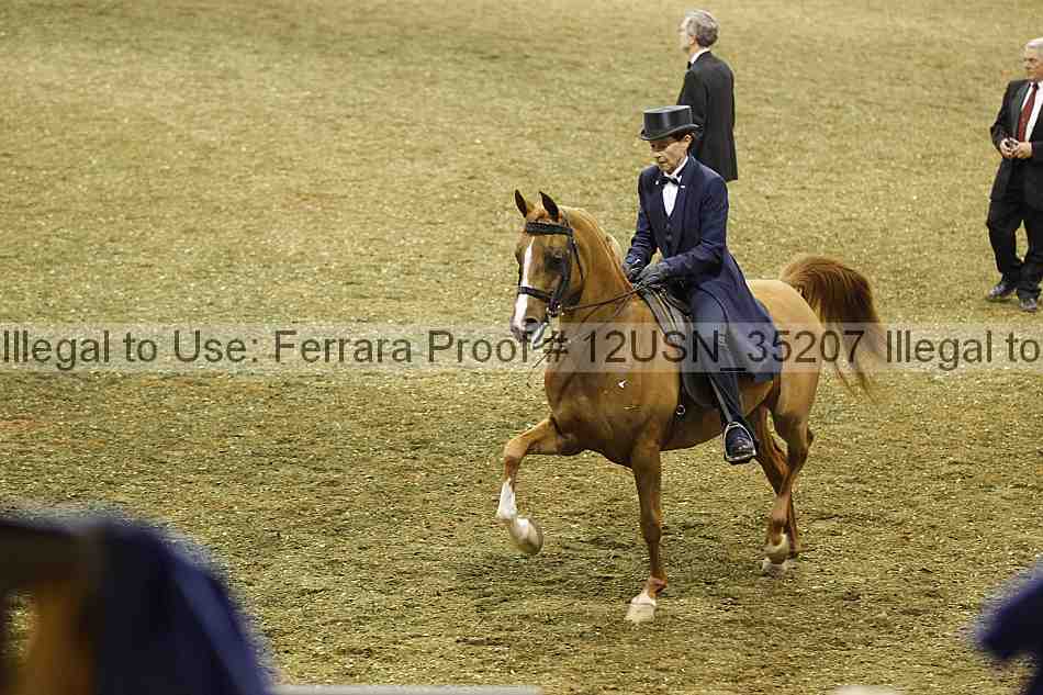 Proof 12usn_35207