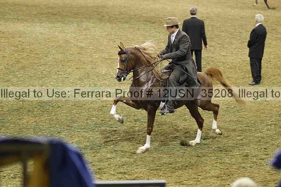 Proof 12usn_35208