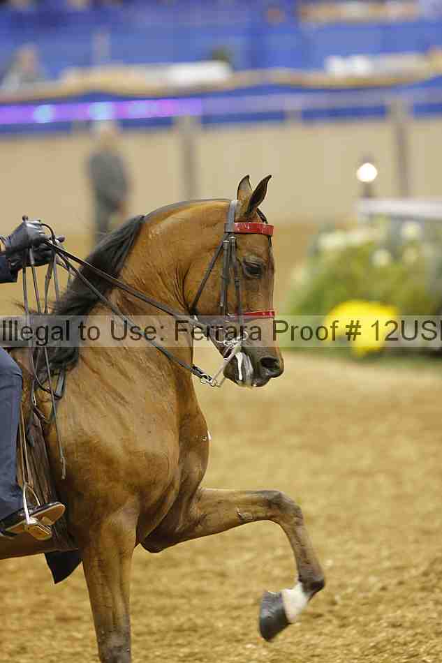 Proof 12usn_05186
