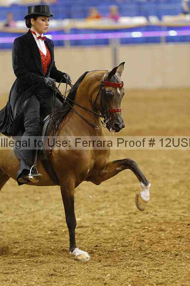 Proof 12usn_05203