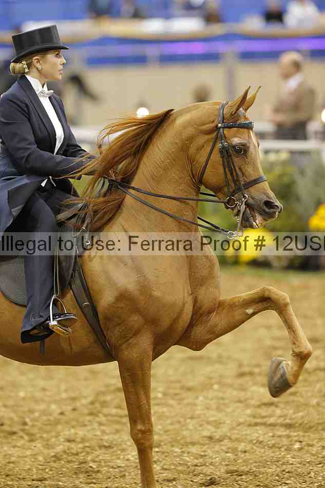 Proof 12usn_05209