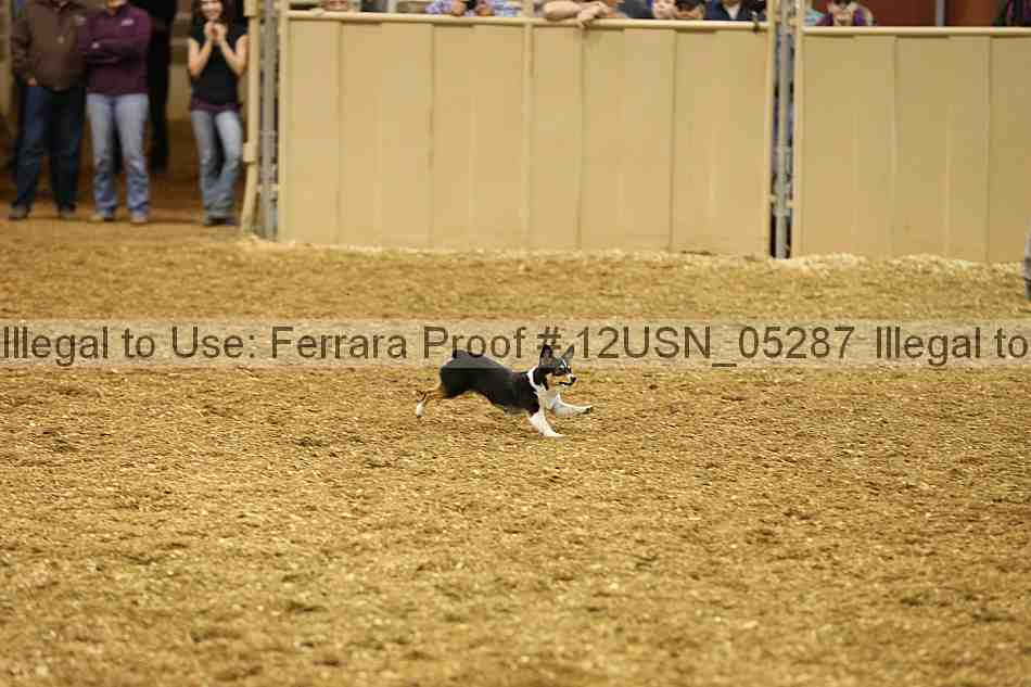 Proof 12usn_05287