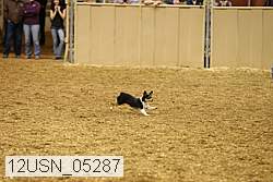 12usn_05287 proof
