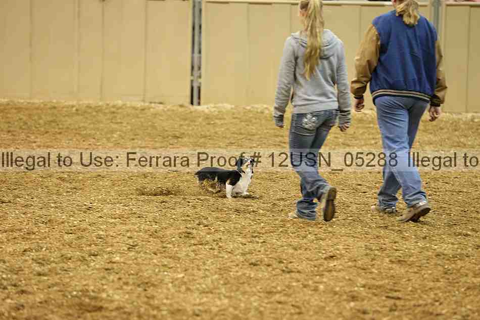 Proof 12usn_05288