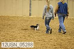 12usn_05288 proof